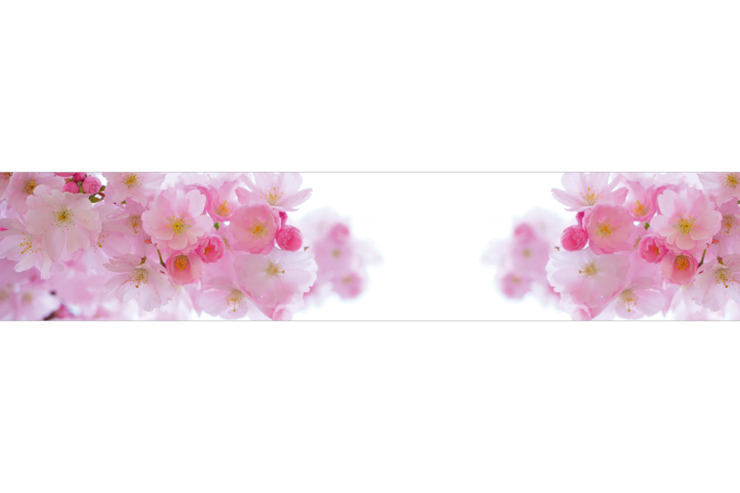 Küchenrückwand Japanische Kirschblüten