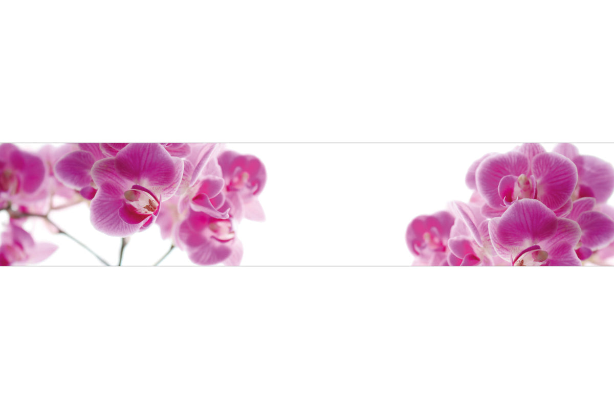 Küchenrückwand Rosa Orchideenblüten