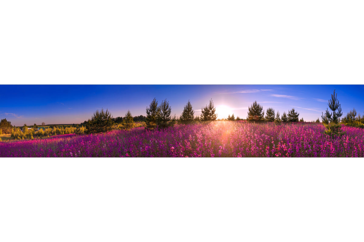 Küchenrückwand Blumenwiese im Sonnenuntergang
