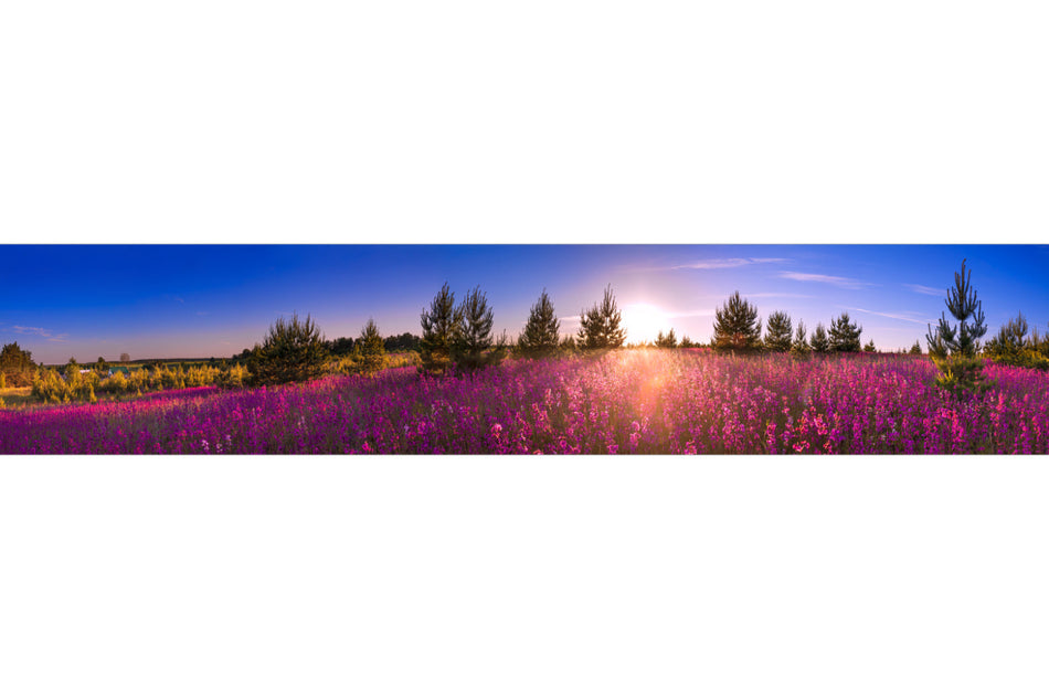 Küchenrückwand Blumenwiese im Sonnenuntergang