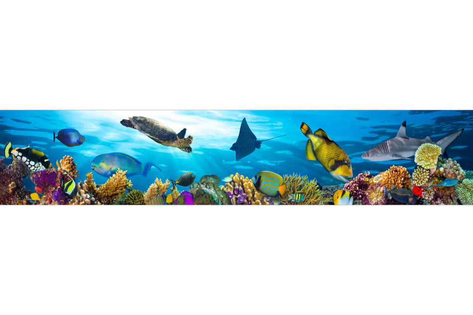 Küchenrückwand Bunte Fische & Korallenriff