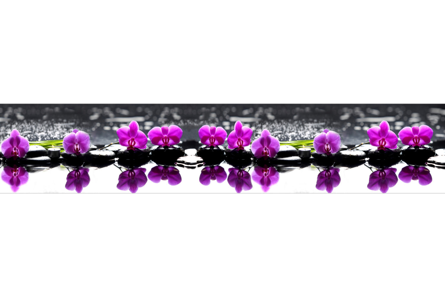 Küchenrückwand Orchideen & Steine