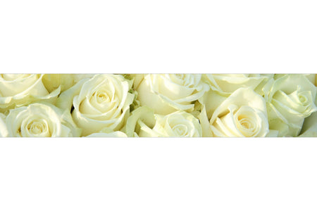 Küchenrückwand Rosenmeer in Weiß