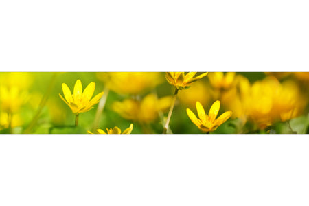 Küchenrückwand Frühlingsblumen