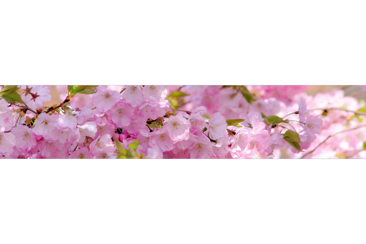 Küchenrückwand Kirschblüte Design