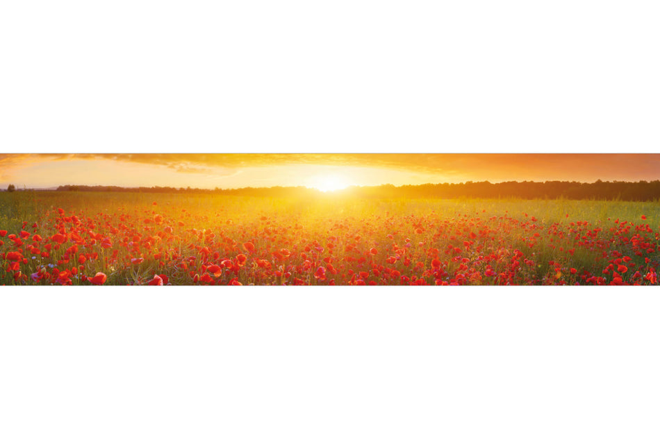 Küchenrückwand Mohnfeld Sonnenuntergang