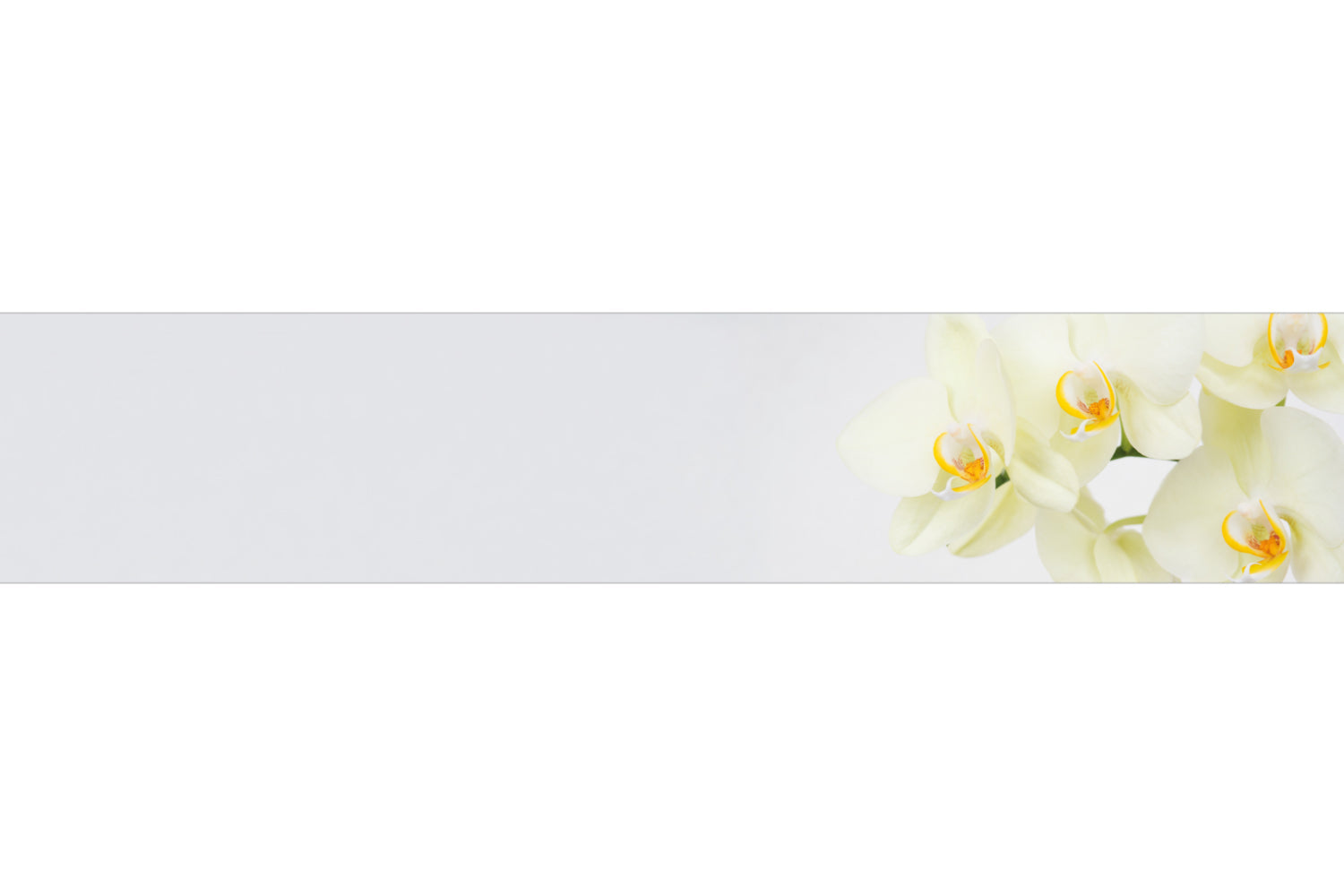 Küchenrückwand Weiße Orchidee