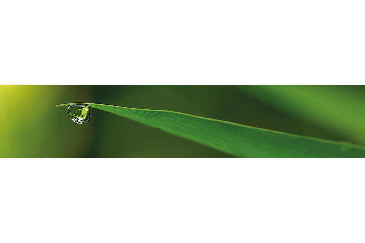 Küchenrückwand Wassertropfen auf Blatt