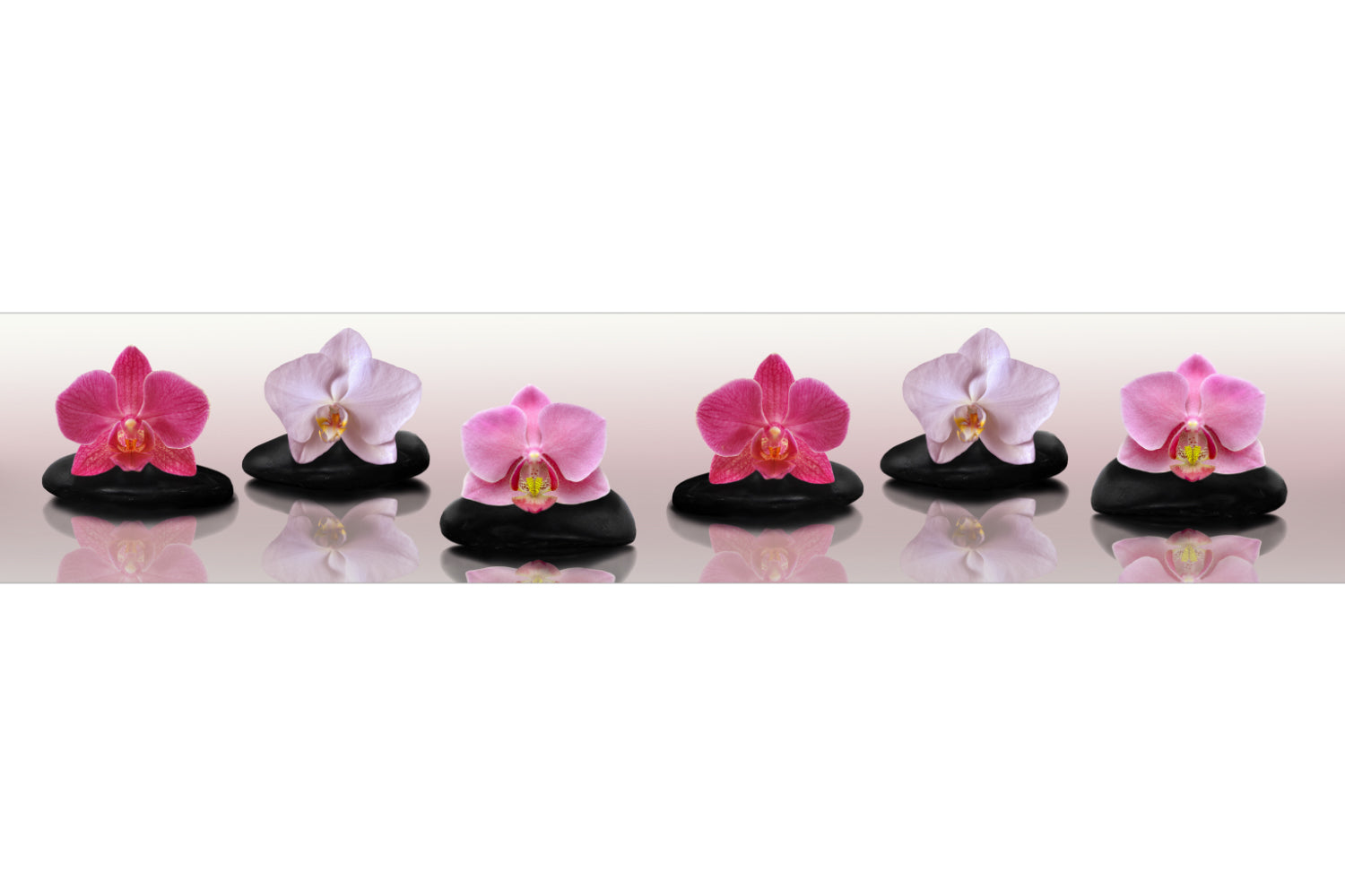 Küchenrückwand Orchideen Zen Stil