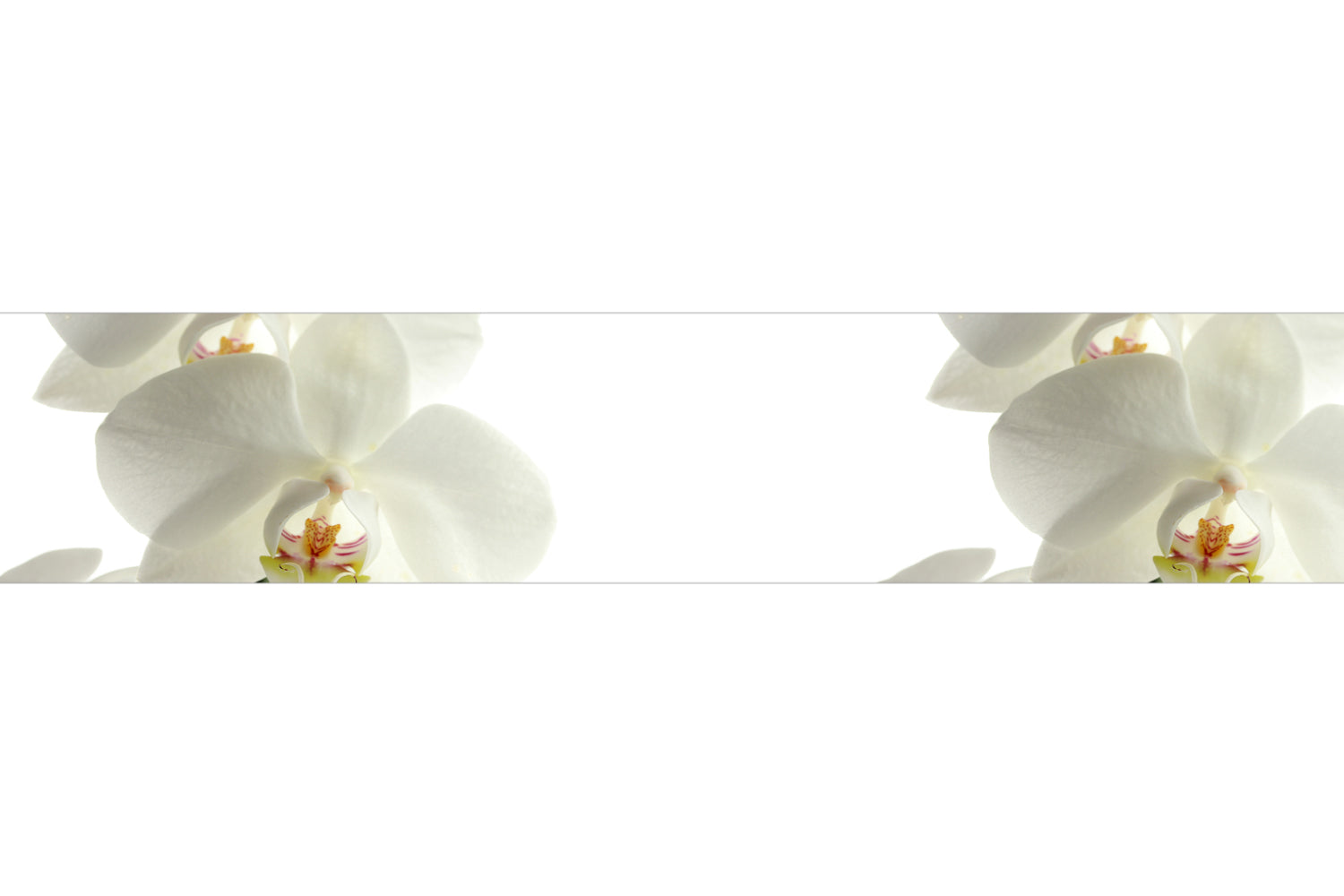 Küchenrückwand Weiße Orchideen Elegant