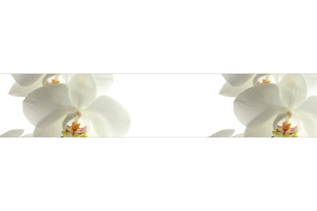 Küchenrückwand Weiße Orchideen Elegant