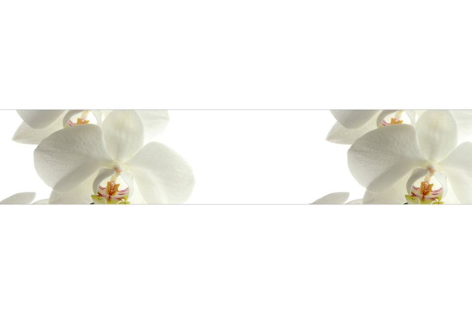 Küchenrückwand Weiße Orchideen Elegant