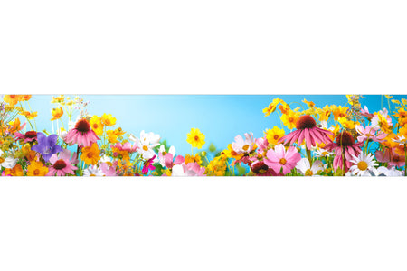 Küchenrückwand Bunte Blumenwiese Sommer