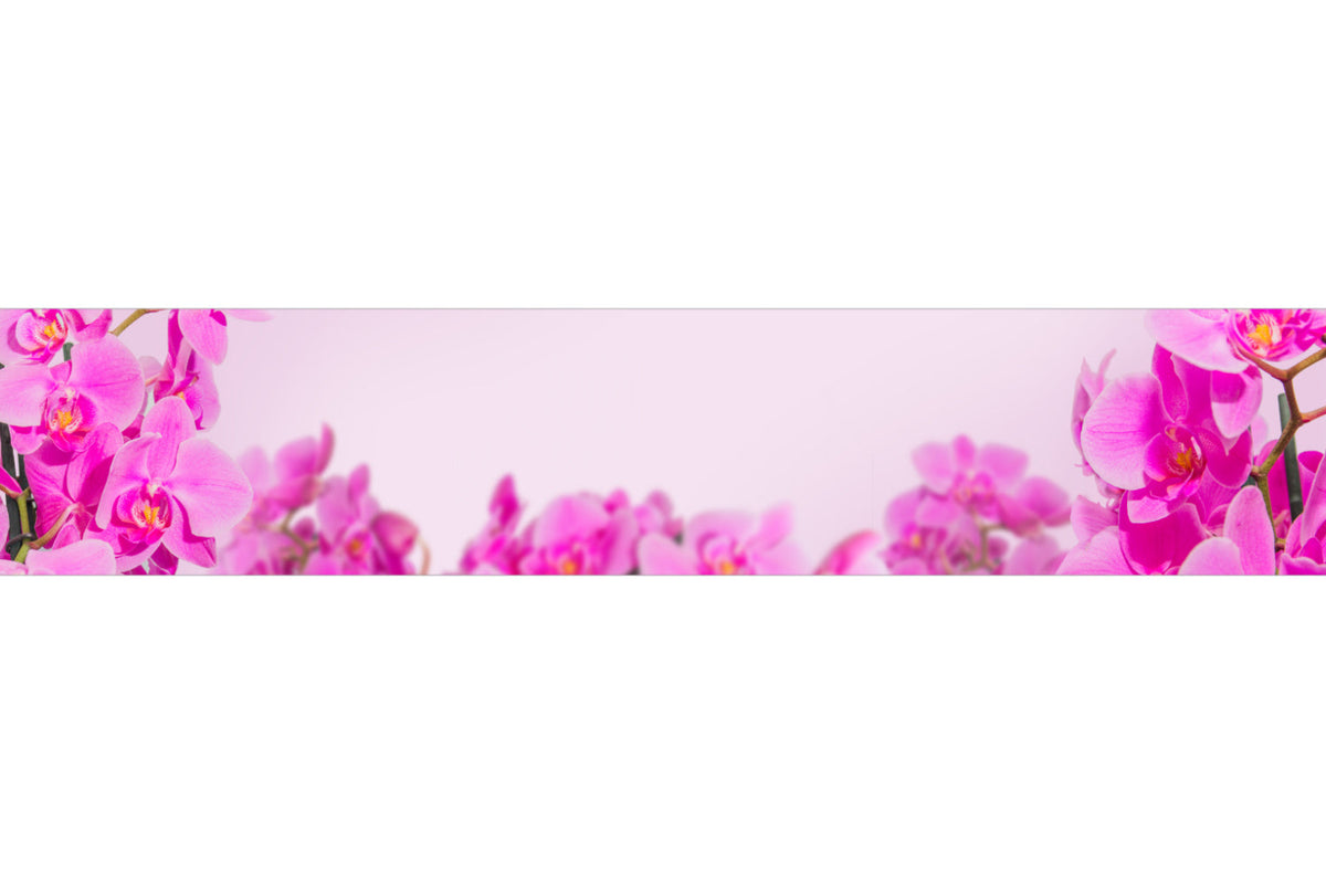 Küchenrückwand Pinke Orchideen auf Rosa