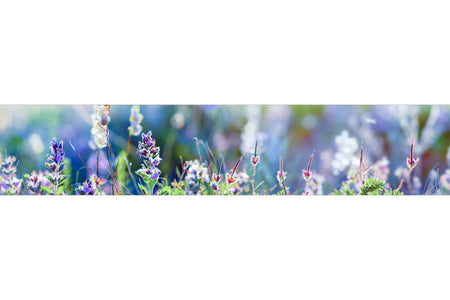 Küchenrückwand Zarte Frühlingsblumen