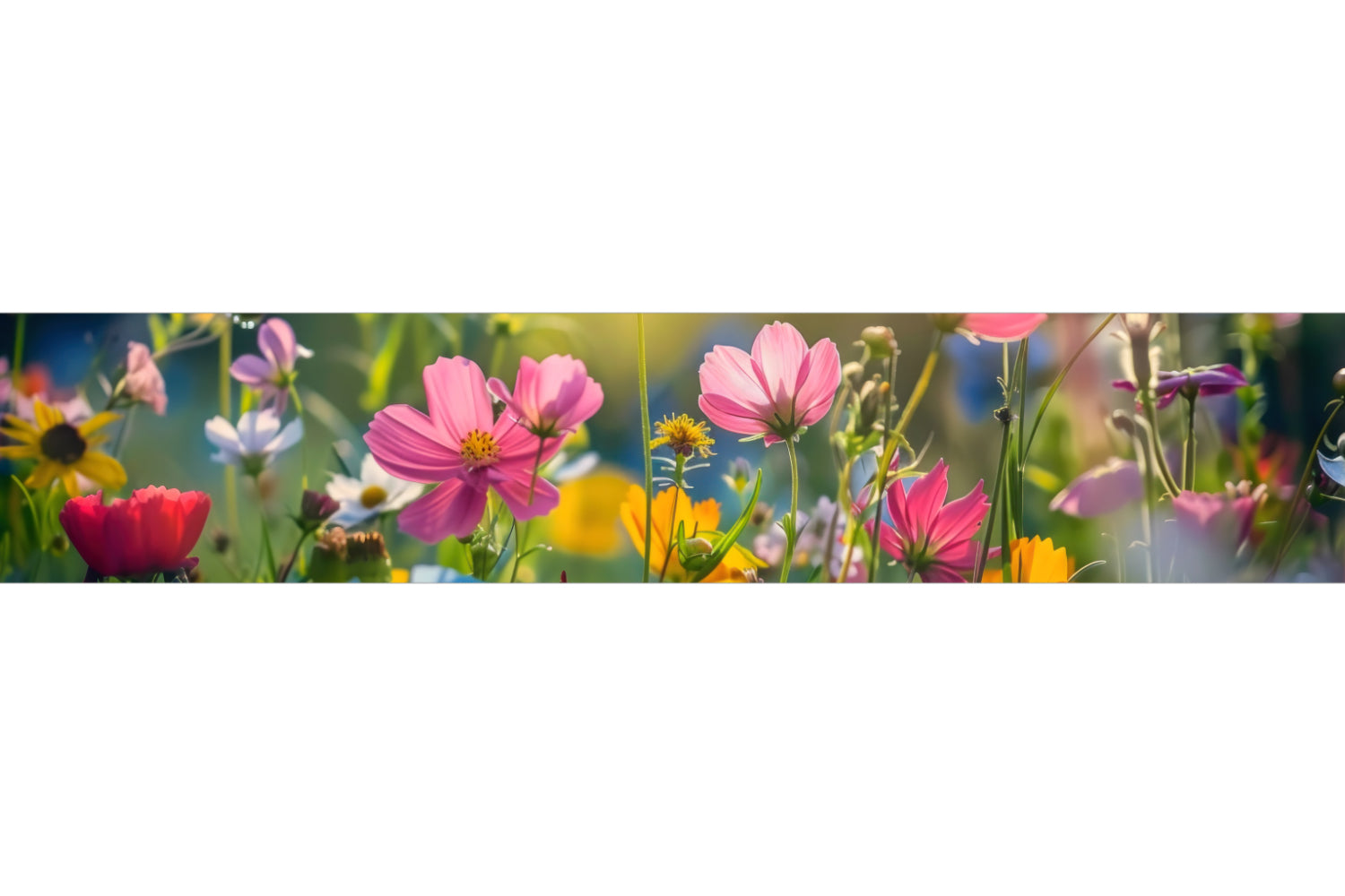 Küchenrückwand Bunte Sommerblumenwiese