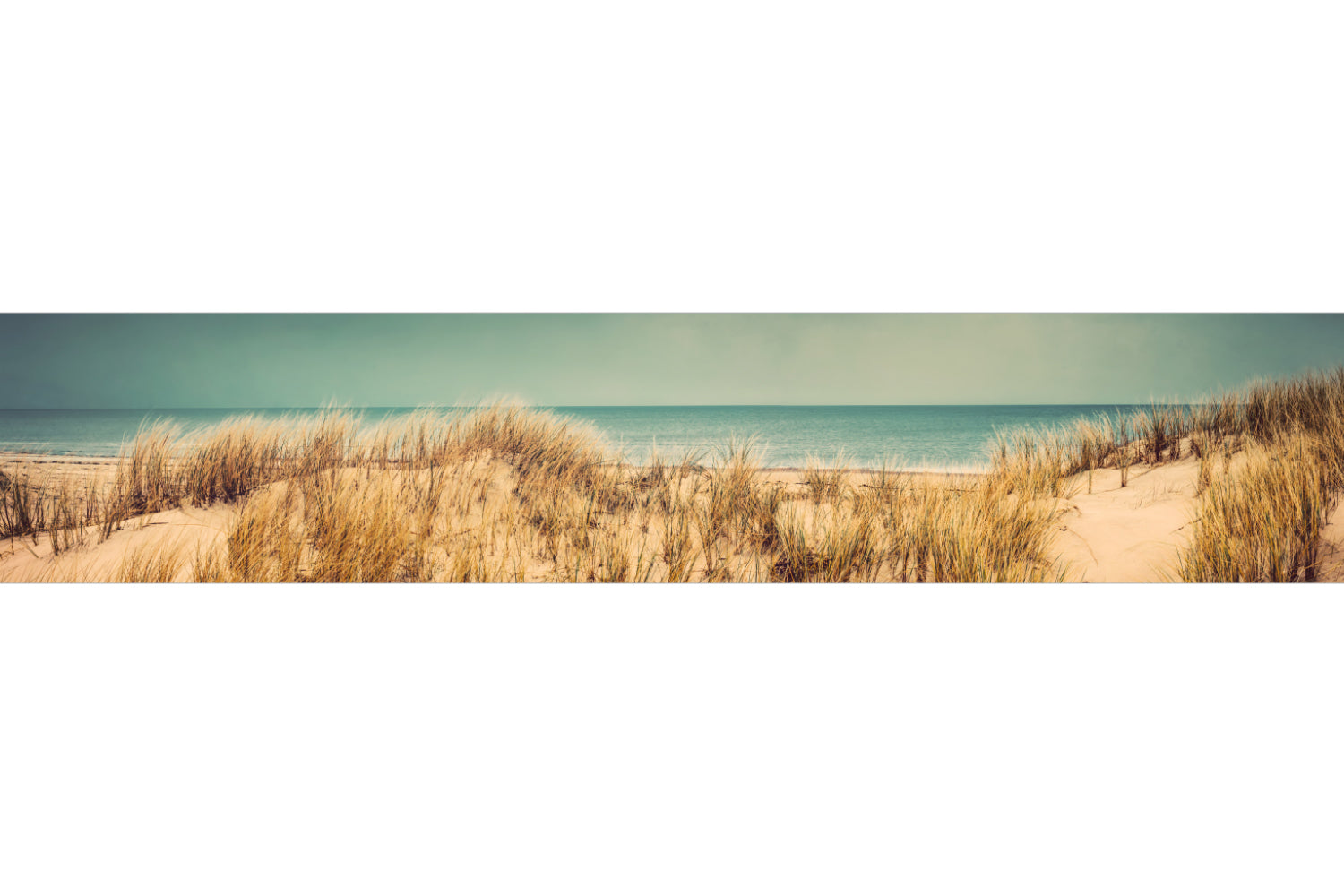 Küchenrückwand Strand und Dünen