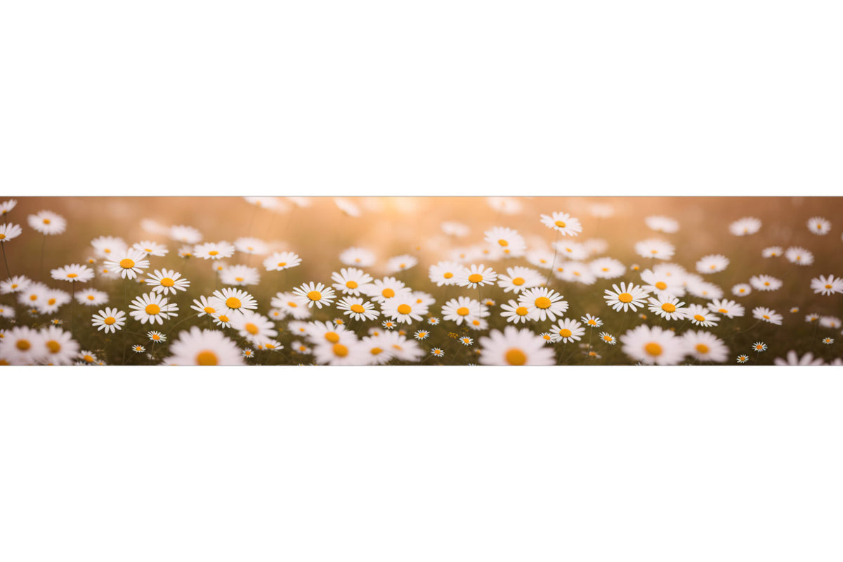 Küchenrückwand Gänseblümchenwiese