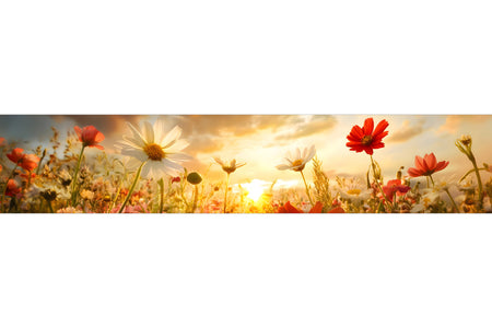 Küchenrückwand Blumenwiese im Sonnenuntergang