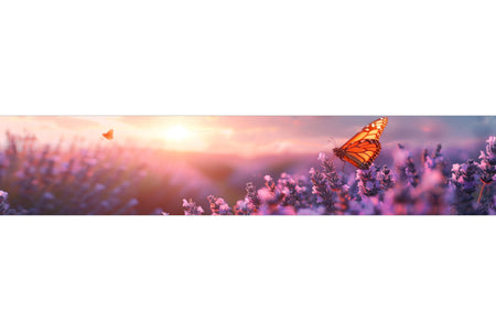 Küchenrückwand Lavendel mit Schmetterling