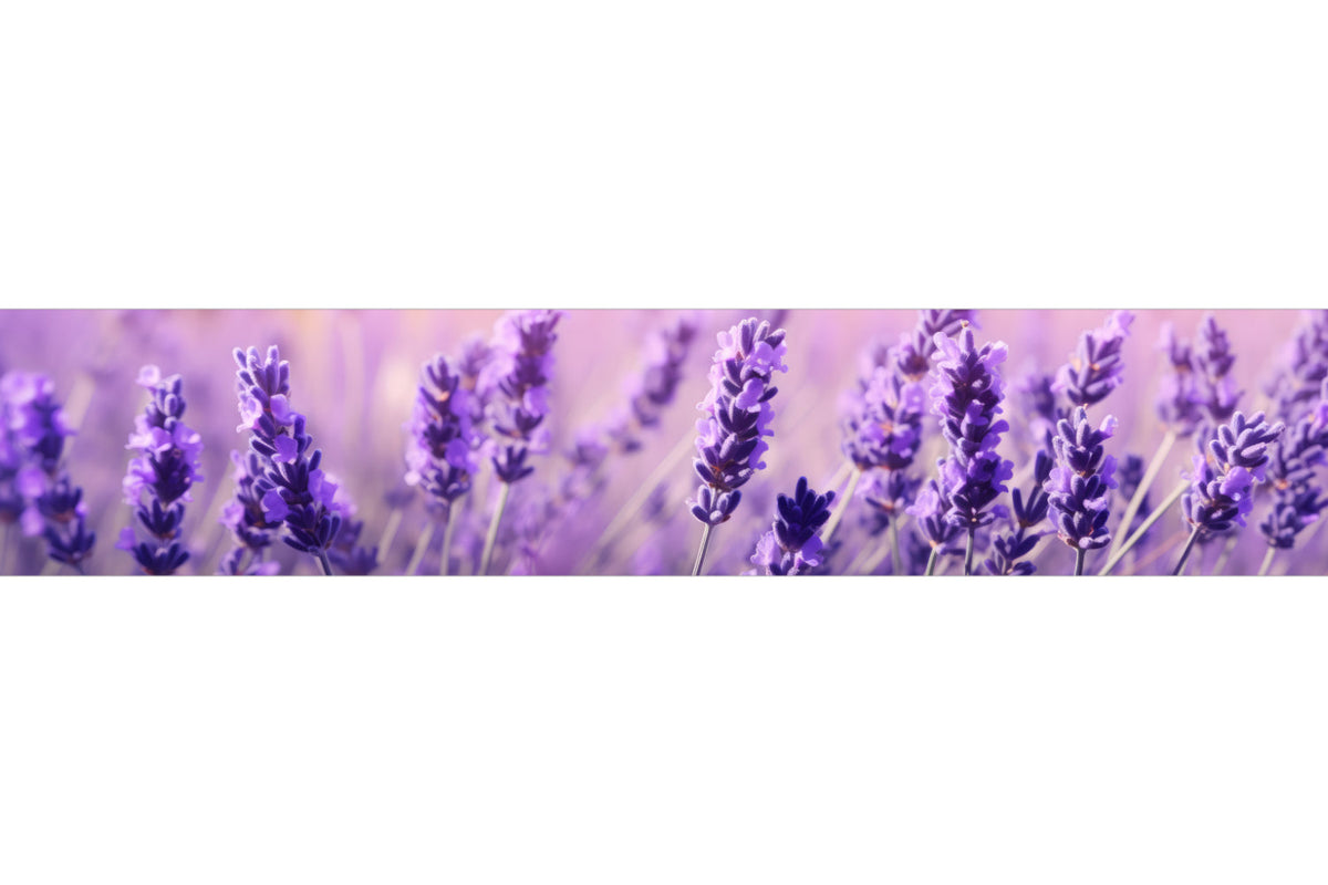 Küchenrückwand Lavendelfeld