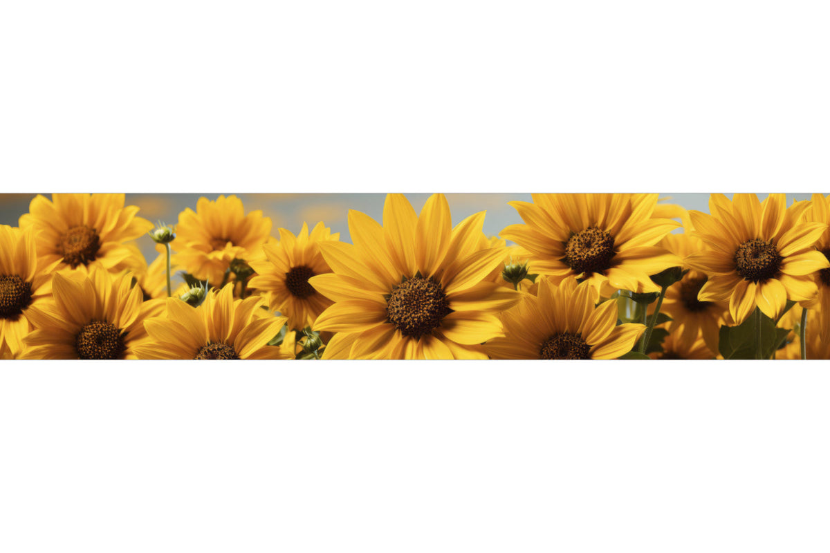 Küchenrückwand Sonnenblumenfeld