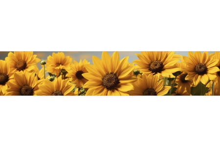 Küchenrückwand Sonnenblumenfeld