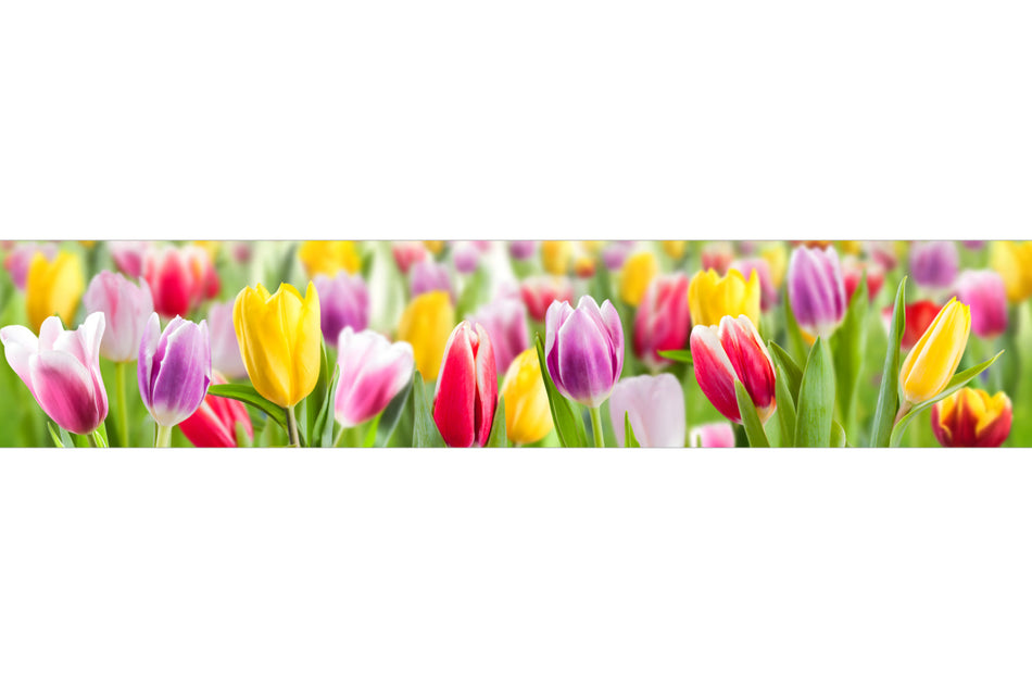 Küchenrückwand Bunte Tulpenwiese