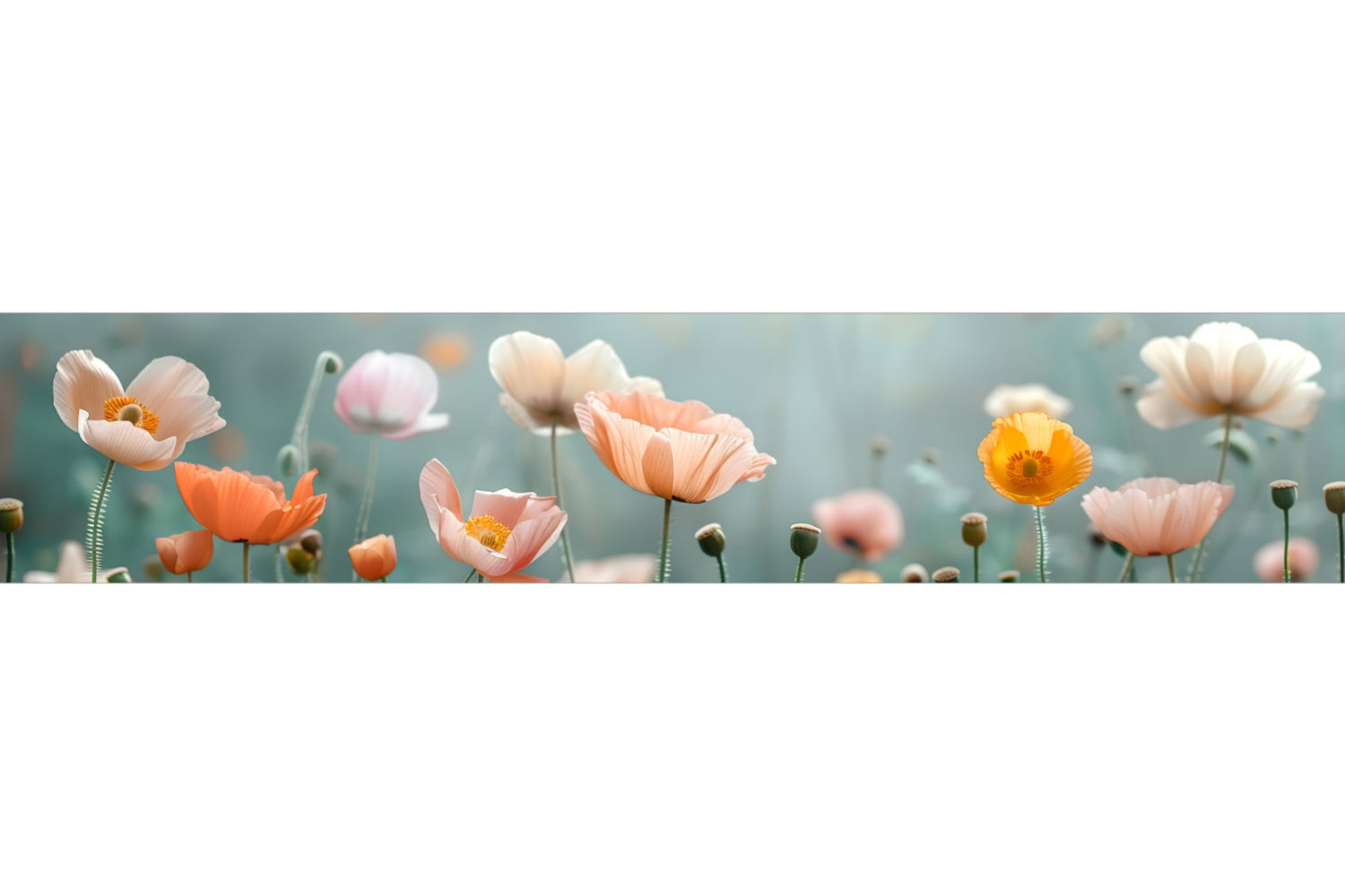 Küchenrückwand Pastell Mohnblumen