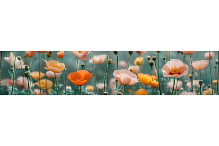 Küchenrückwand Mohnblumen Pastell