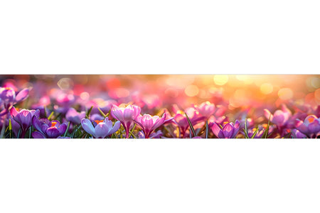 Küchenrückwand Frühlingsblumen