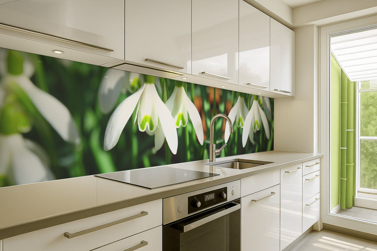 Küchenrückwand Schneeglöckchen