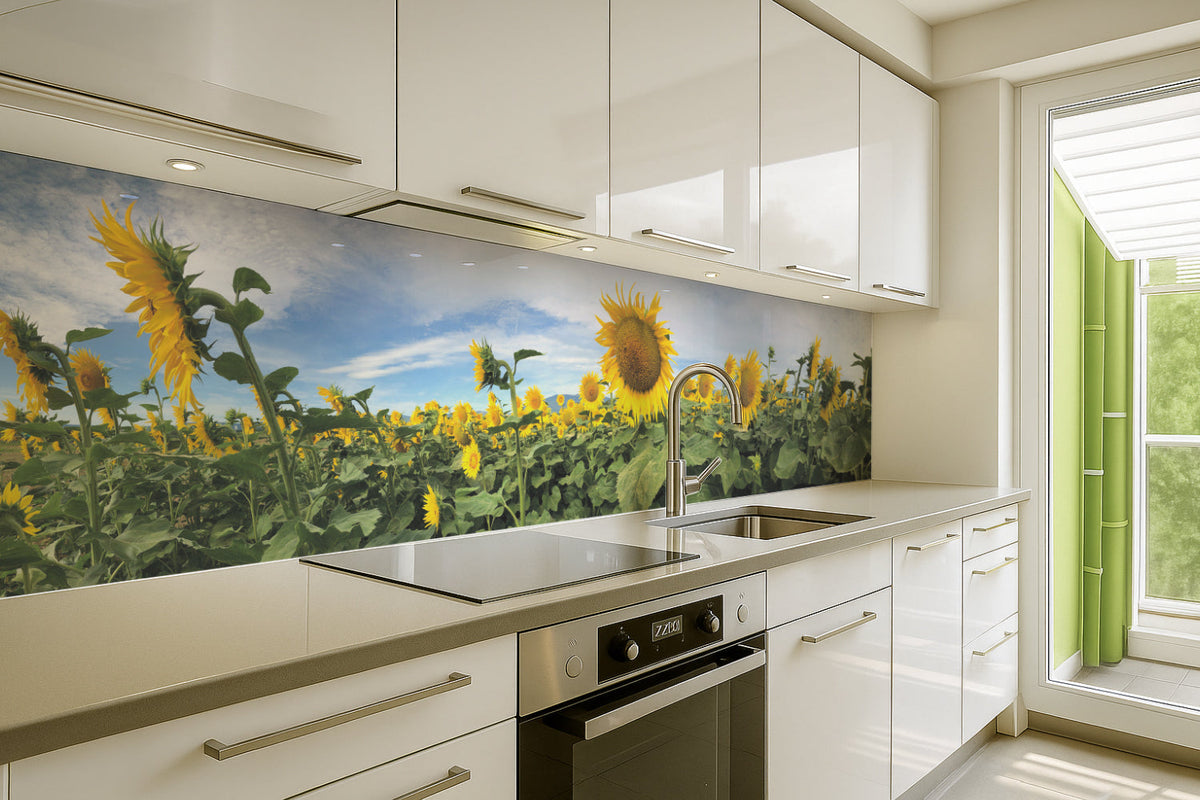Küchenrückwand Sonnenblumenfeld