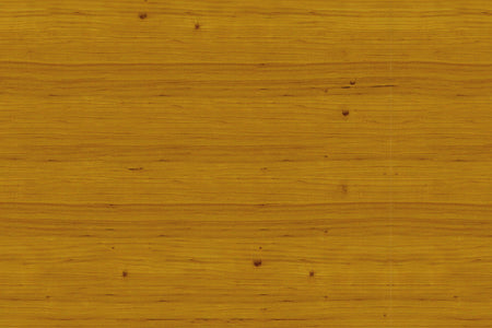 Spritzschutz Küche Holzoptik
