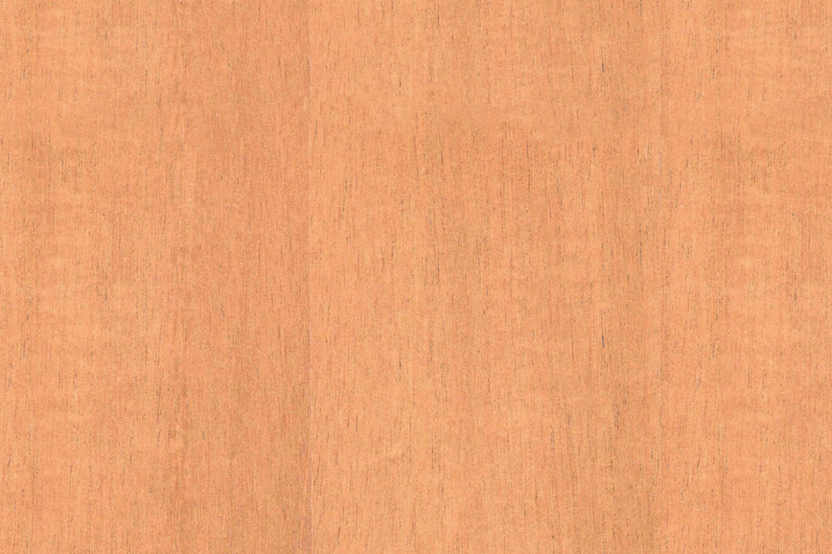 Spritzschutz Küche Holzoptik