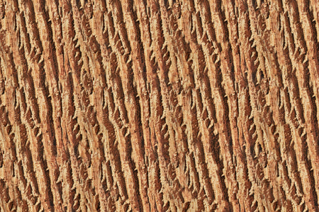 Küchenrückwand Holzoptik