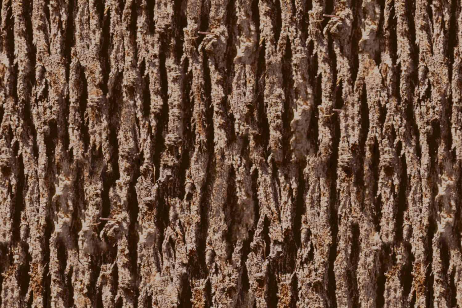 Küchenrückwand Holzoptik