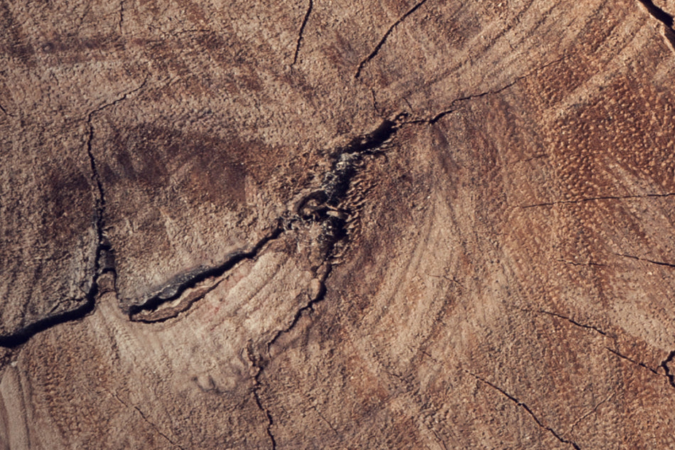 Küchenrückwand Holzoptik