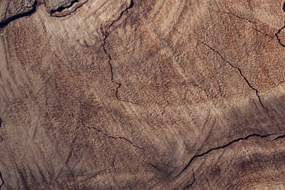 Küchenrückwand Holzoptik