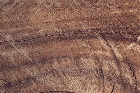 Küchenrückwand Holzoptik