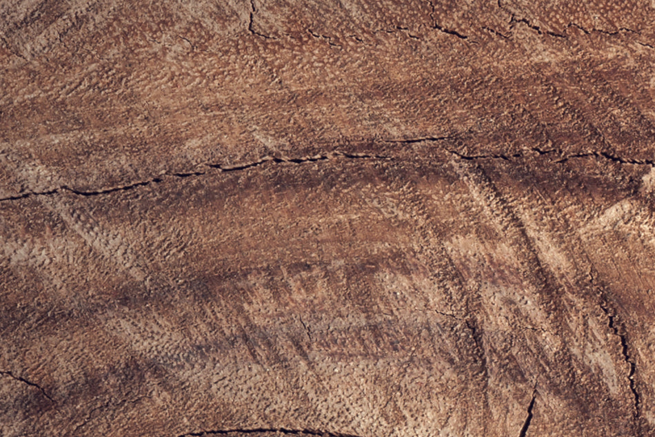 Küchenrückwand Holzoptik