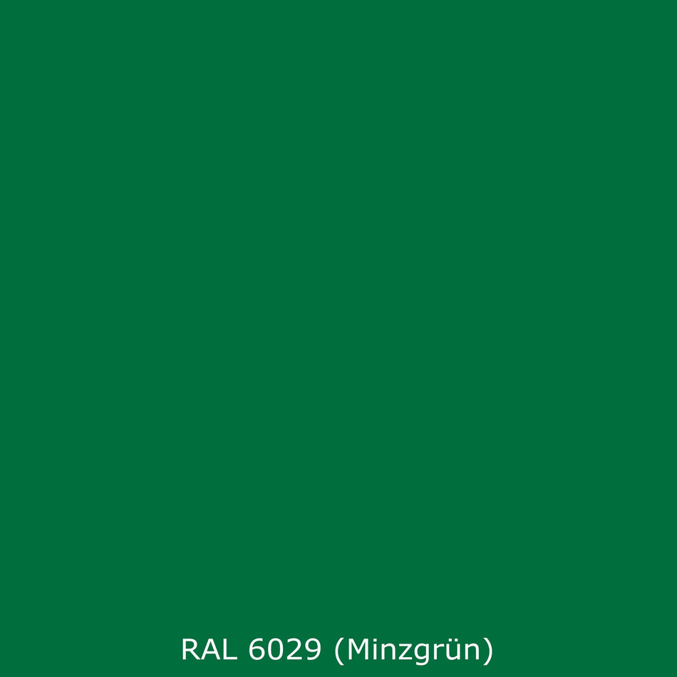 Spritzschutz Küche Einfarbig RAL 6029 (Minzgrün)
