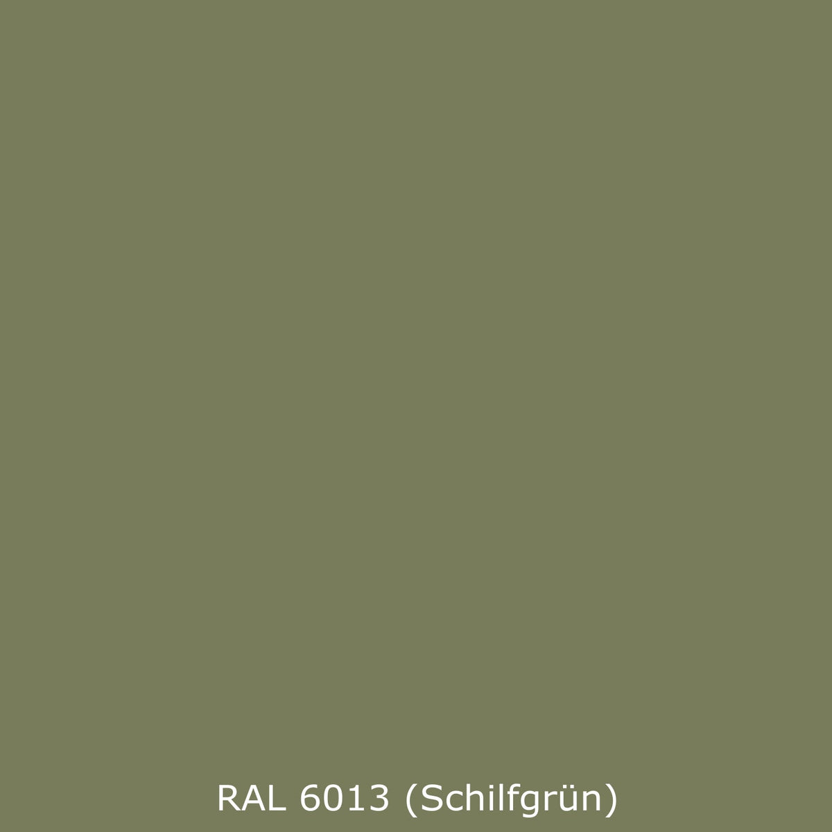Spritzschutz Küche Einfarbig RAL 6013 Schilfgrün