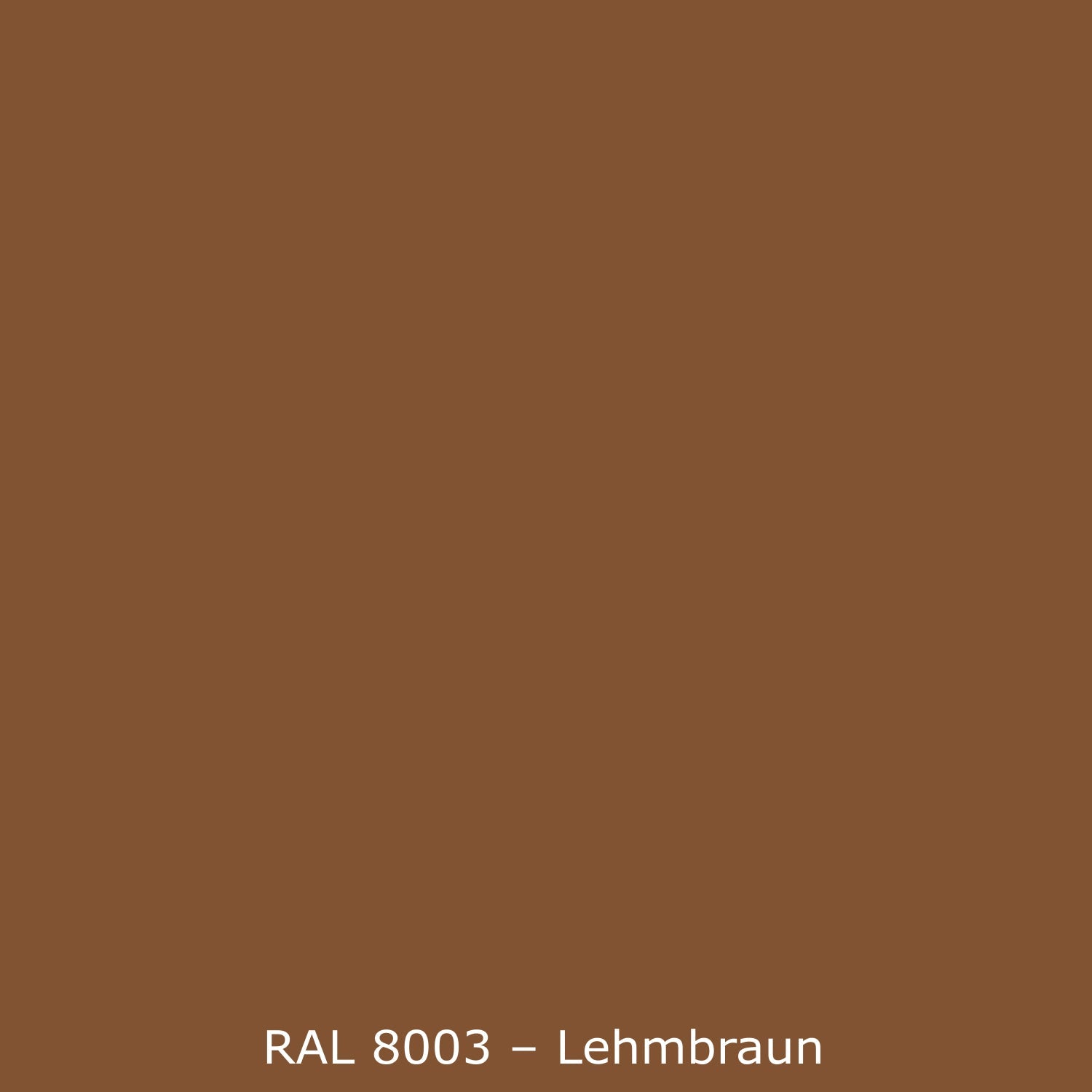 Küchenrückwand Einfarbig RAL 8003 Lehmbraun