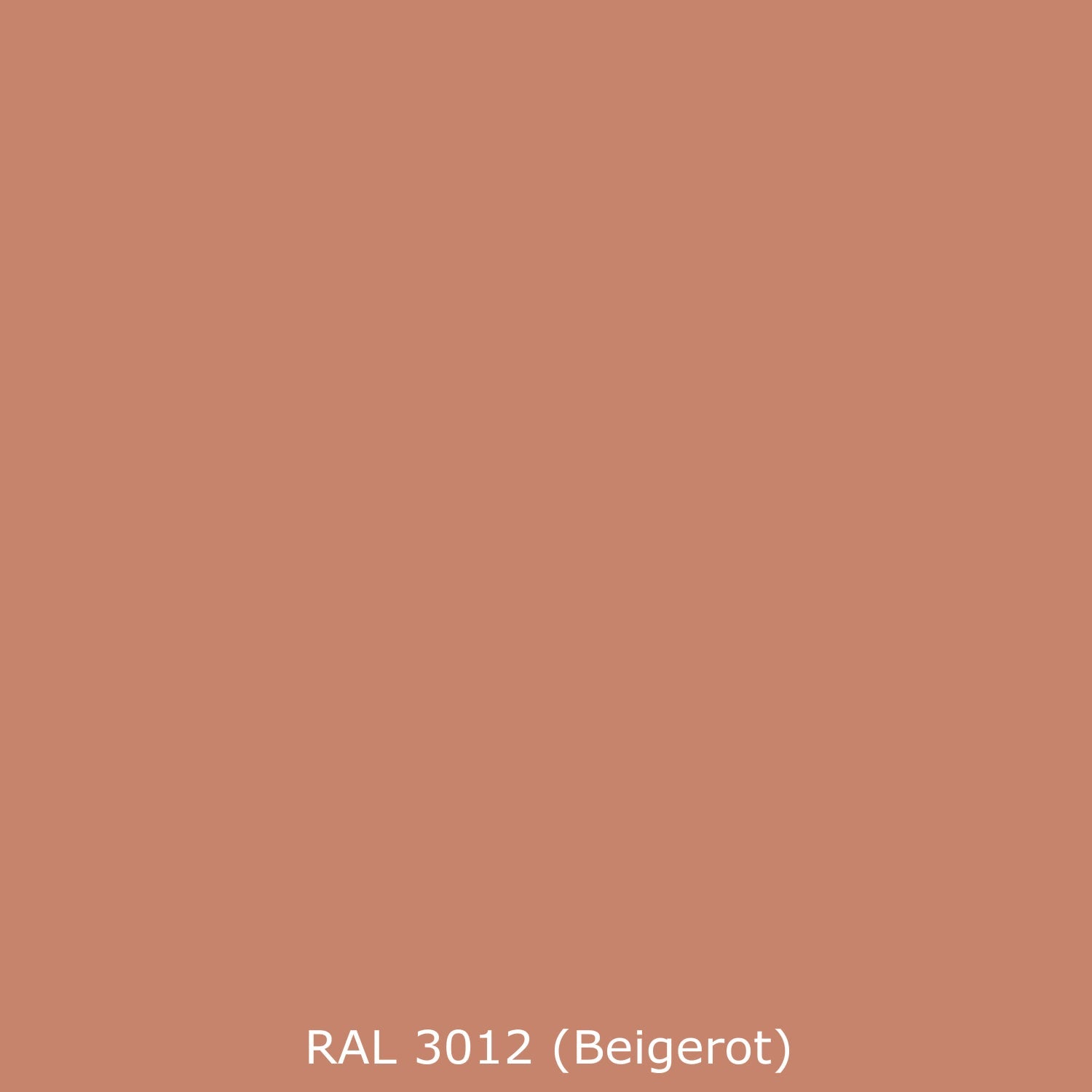 Spritzschutz Küche Einfarbig RAL 3012 Beigerot