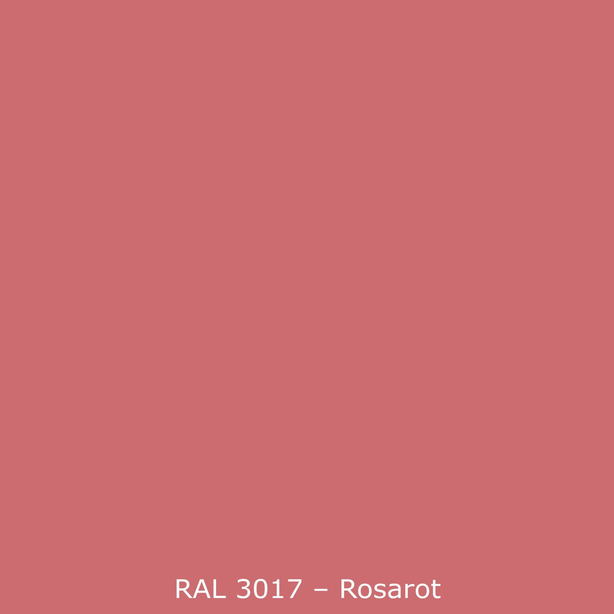 Spritzschutz Küche Einfarbig RAL 3017 Rose