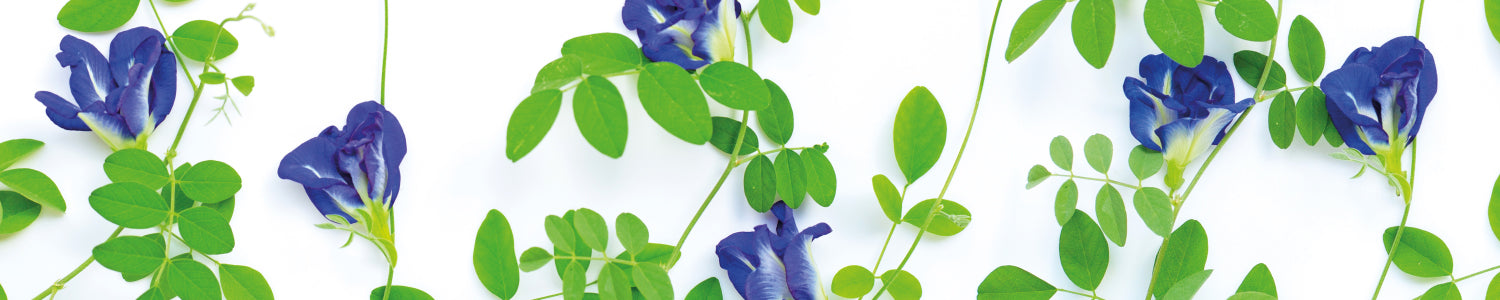 Design Küchenrückwand mit Blütenmotiv