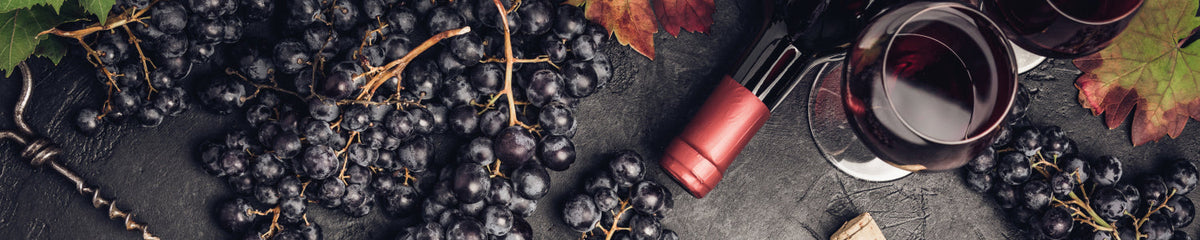 Küchenrückwand Wein & Trauben