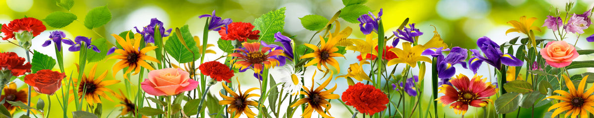 Küchenrückwand Frühlingsblumen