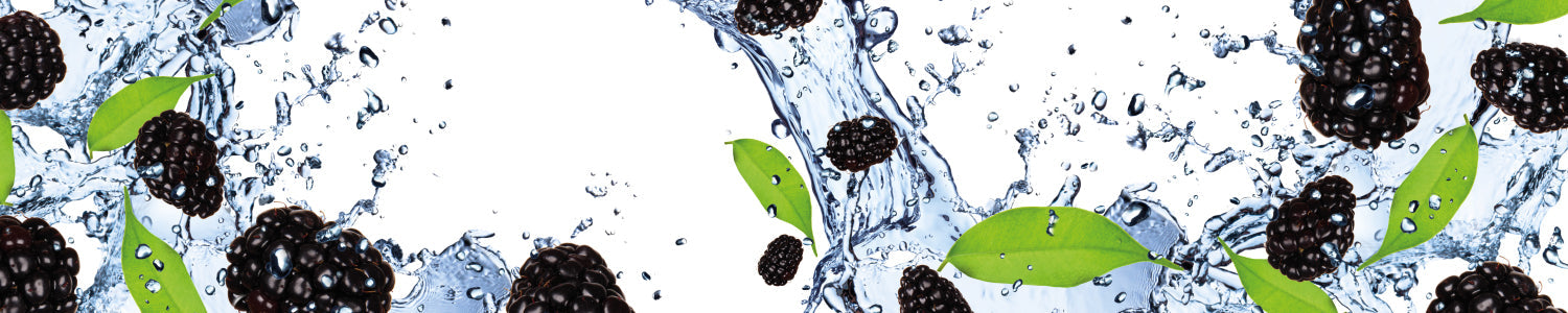 Küchenrückwand Brombeeren im Wasser